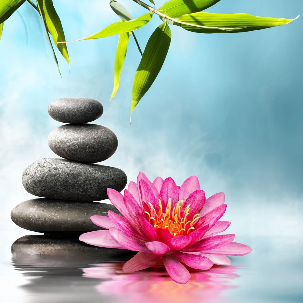 Waterlily (by Body Time)